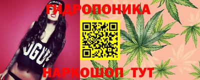 гашишное масло Берёзовский