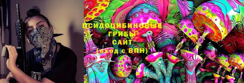 Псилоцибиновые грибы Magic Shrooms  как найти   Бийск 