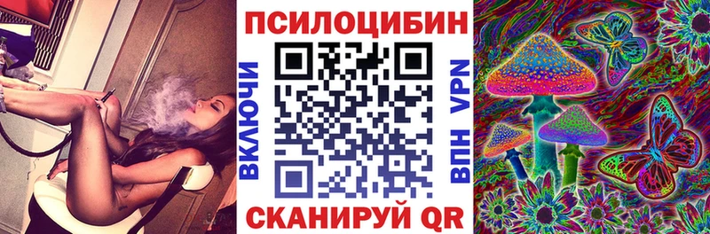 Псилоцибиновые грибы Psilocybe Бийск