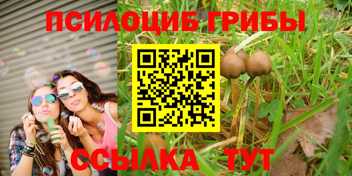 Псилоцибиновые грибы Magic Shrooms Бийск