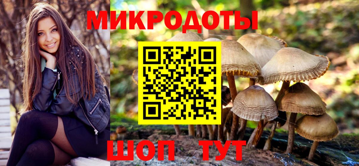 Галлюциногенные грибы мухоморы  Вход с VPN  Бийск 