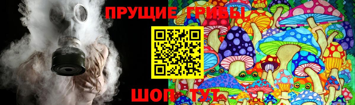 наркота  Бийск  Галлюциногенные грибы GOLDEN TEACHER 